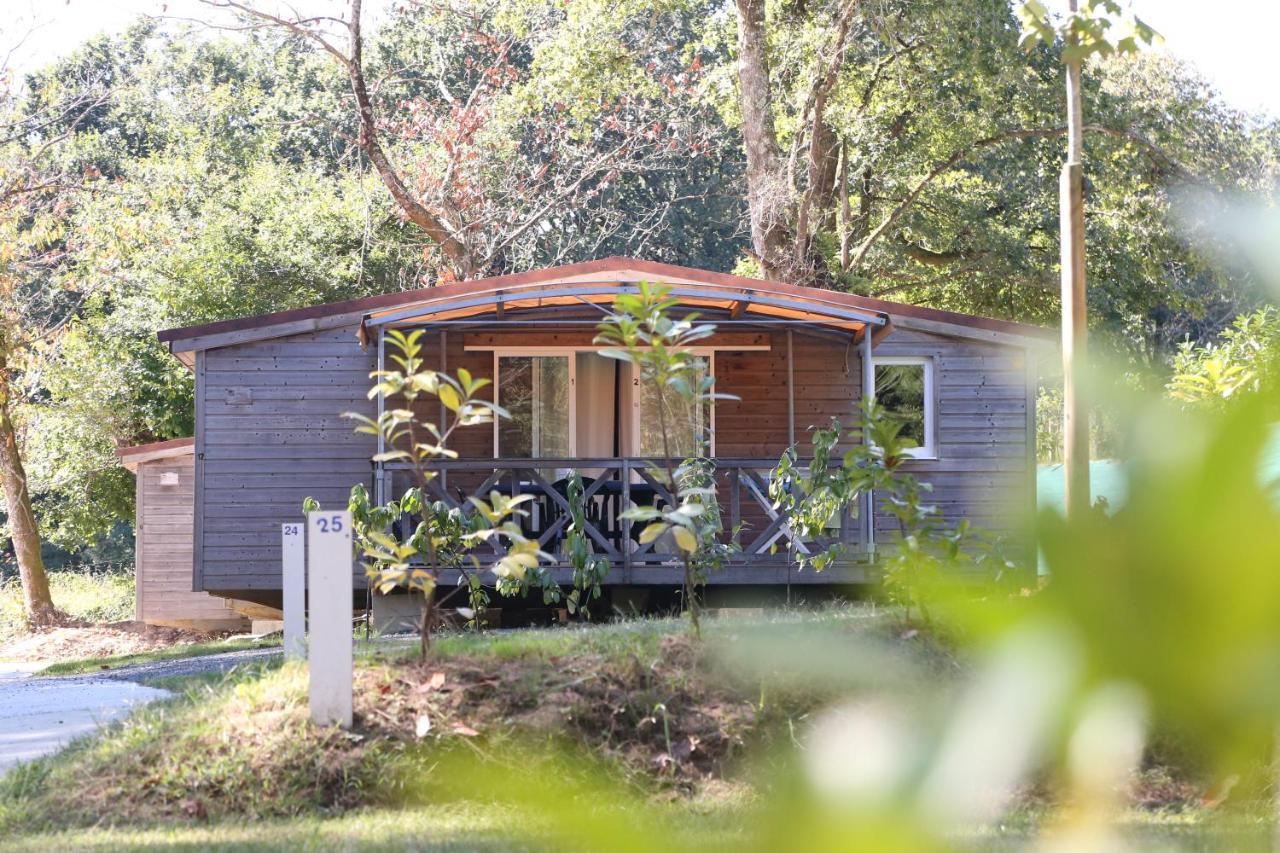 Saint-André-de-Seignaux Camping Le Ruisseau מראה חיצוני תמונה