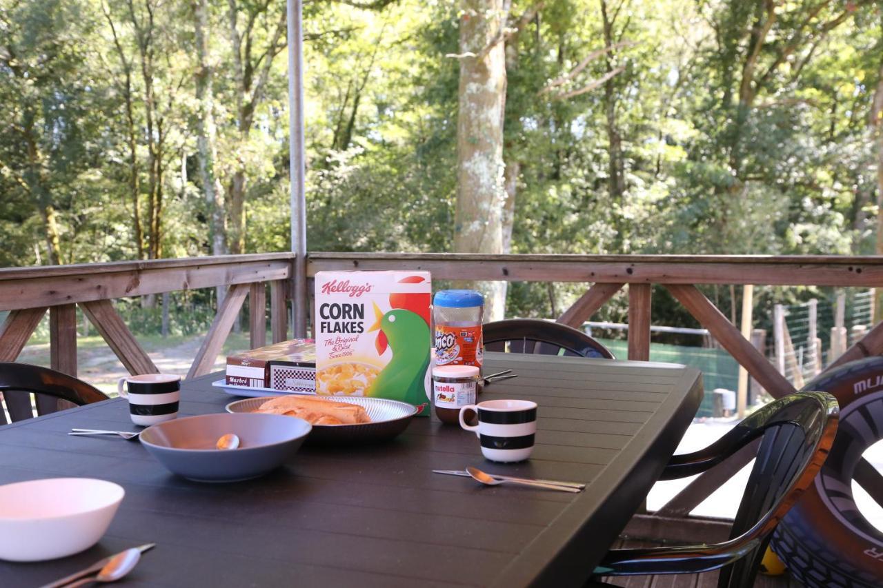 Saint-André-de-Seignaux Camping Le Ruisseau מראה חיצוני תמונה
